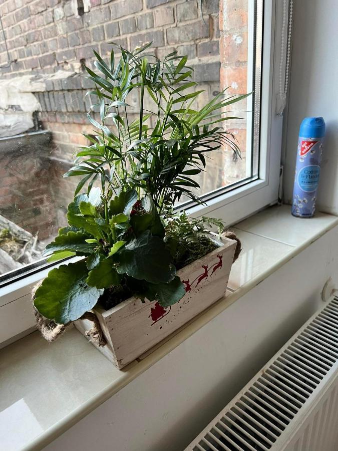 Apartment 18 Lutherstadt Eisleben